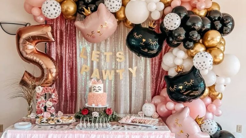 Are you kitten me right meow_ Time to pawty!